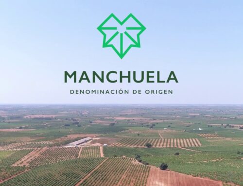 La Denominación de Origen (DO) La Manchuela