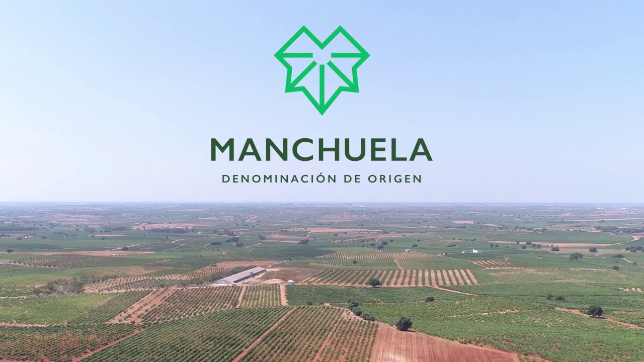 Logo-DO-Manchuela-sobre-viñedos-de-la-region